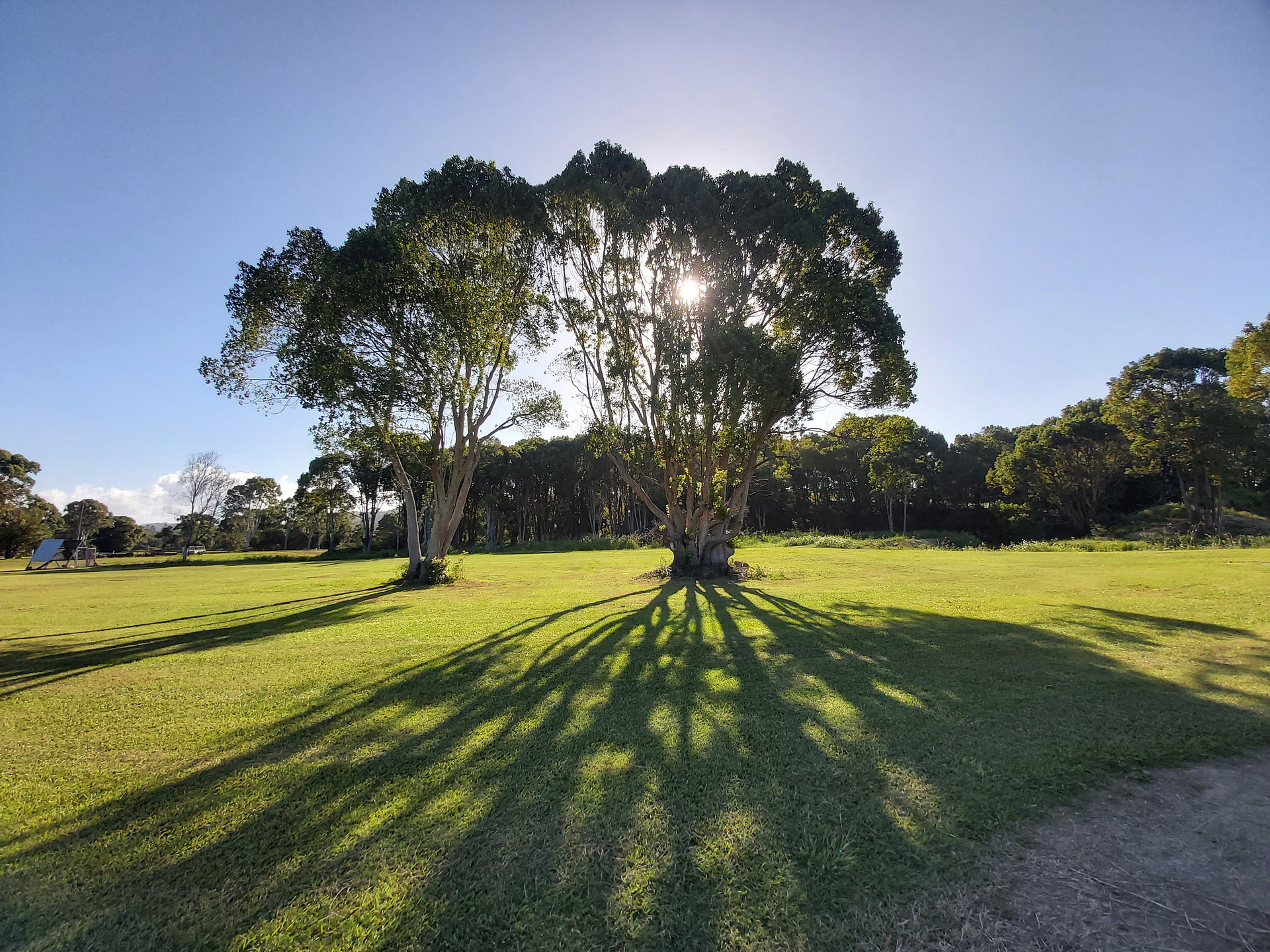 Pottsville Farm