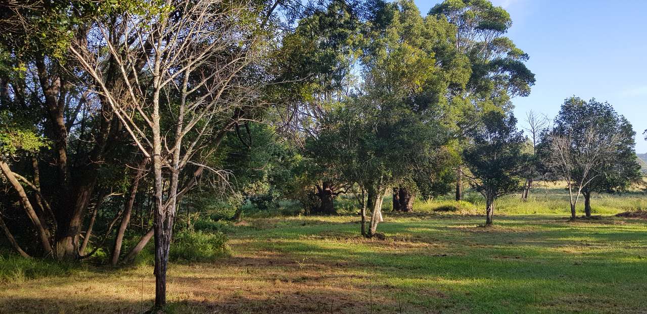Fat Lamb Farm Camping
