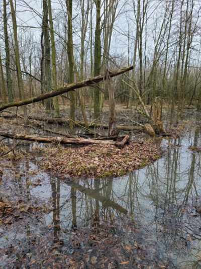 Macksville Acres