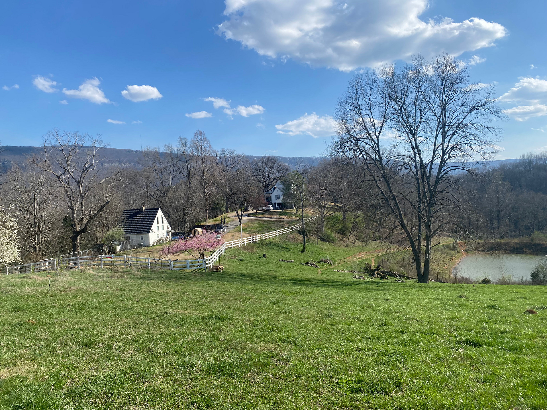 Quail Run Farm