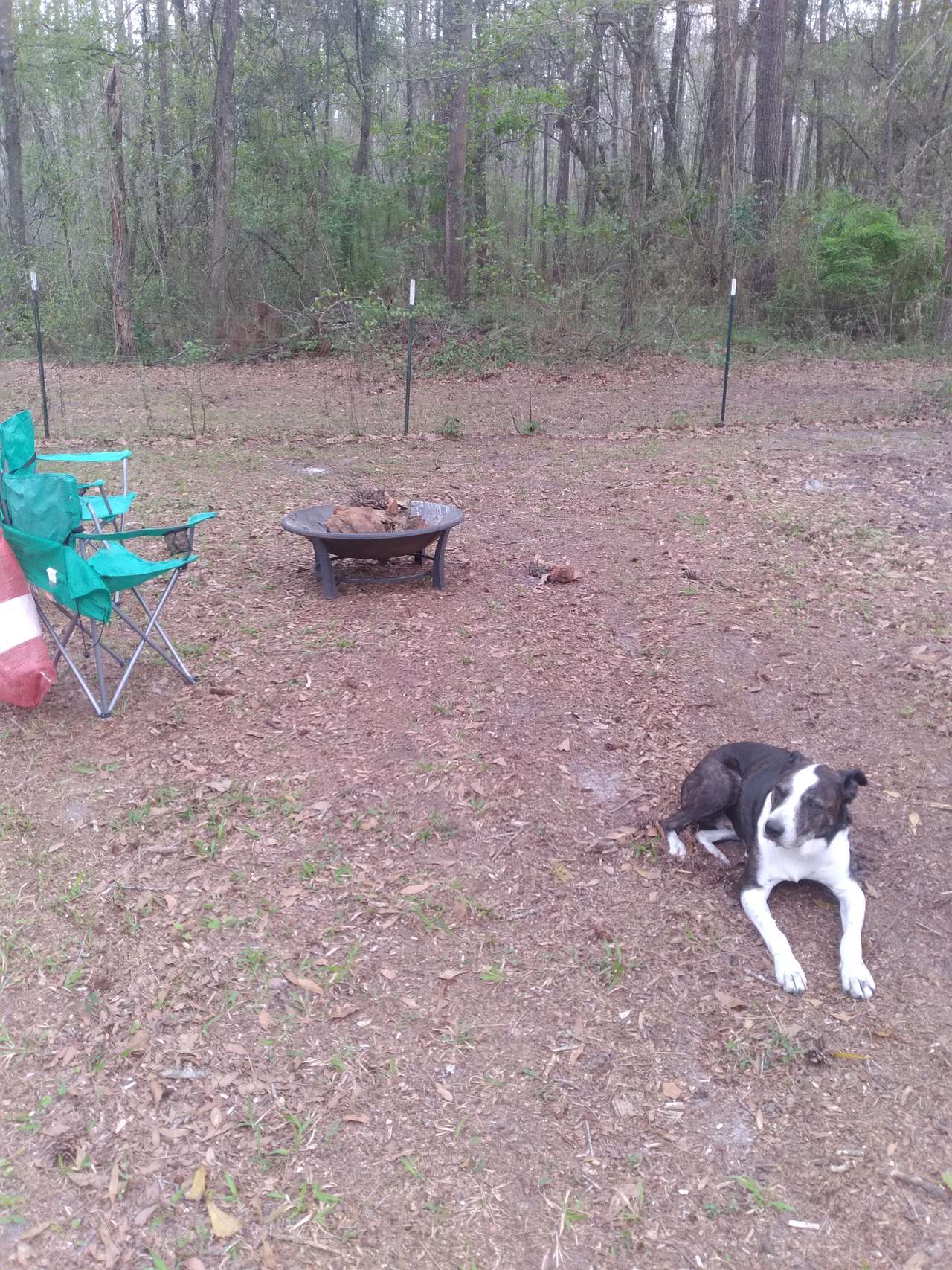 Tallahassee Outskirts Hideaway