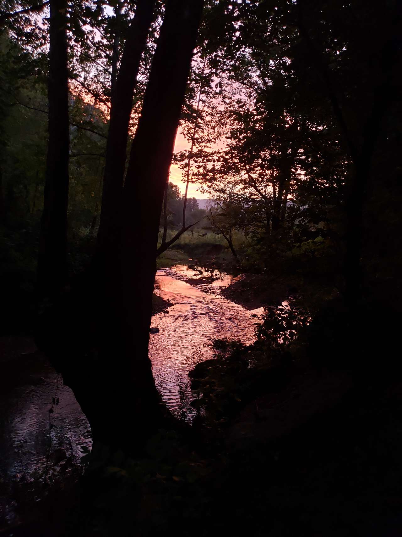 Out On The Creek Campground & RV