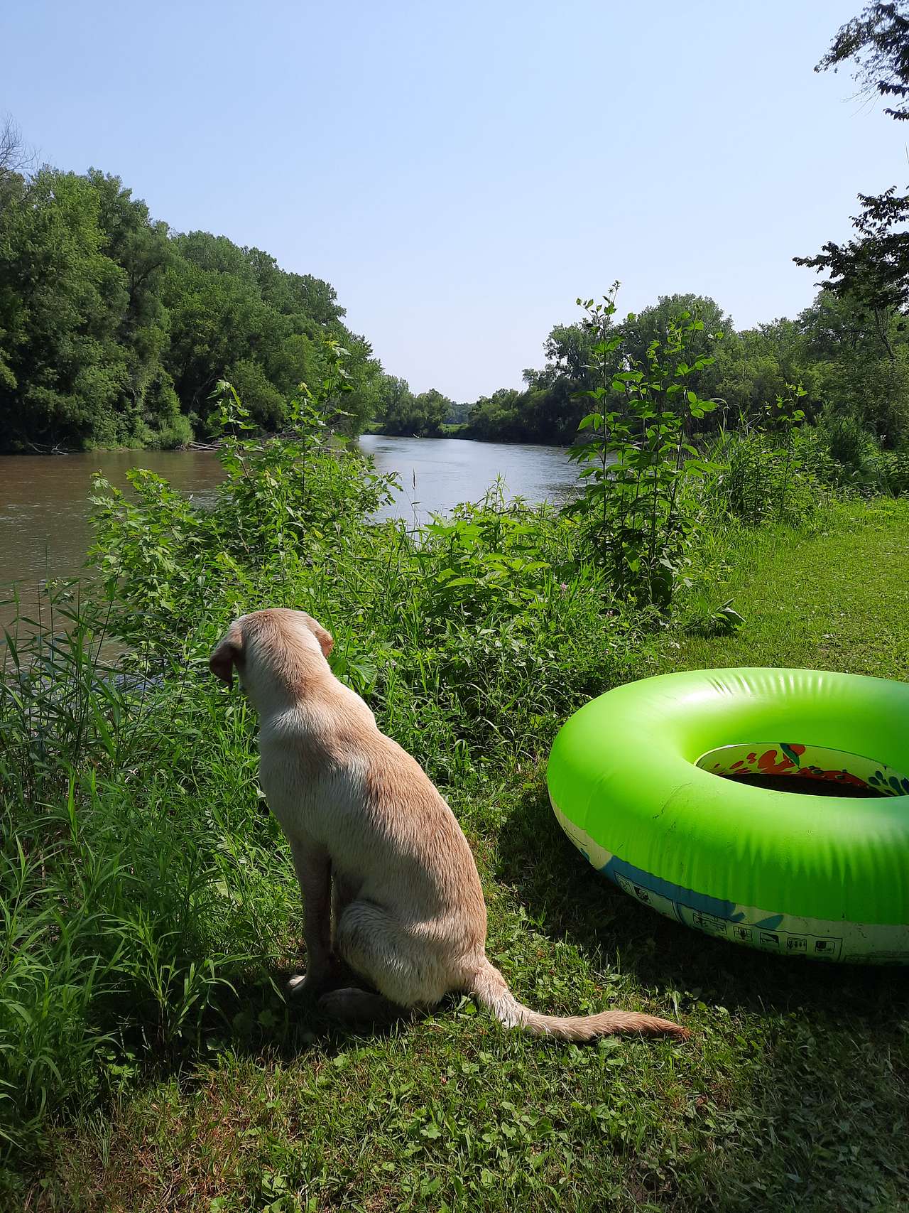 Root River Hideaway - Tent Camping