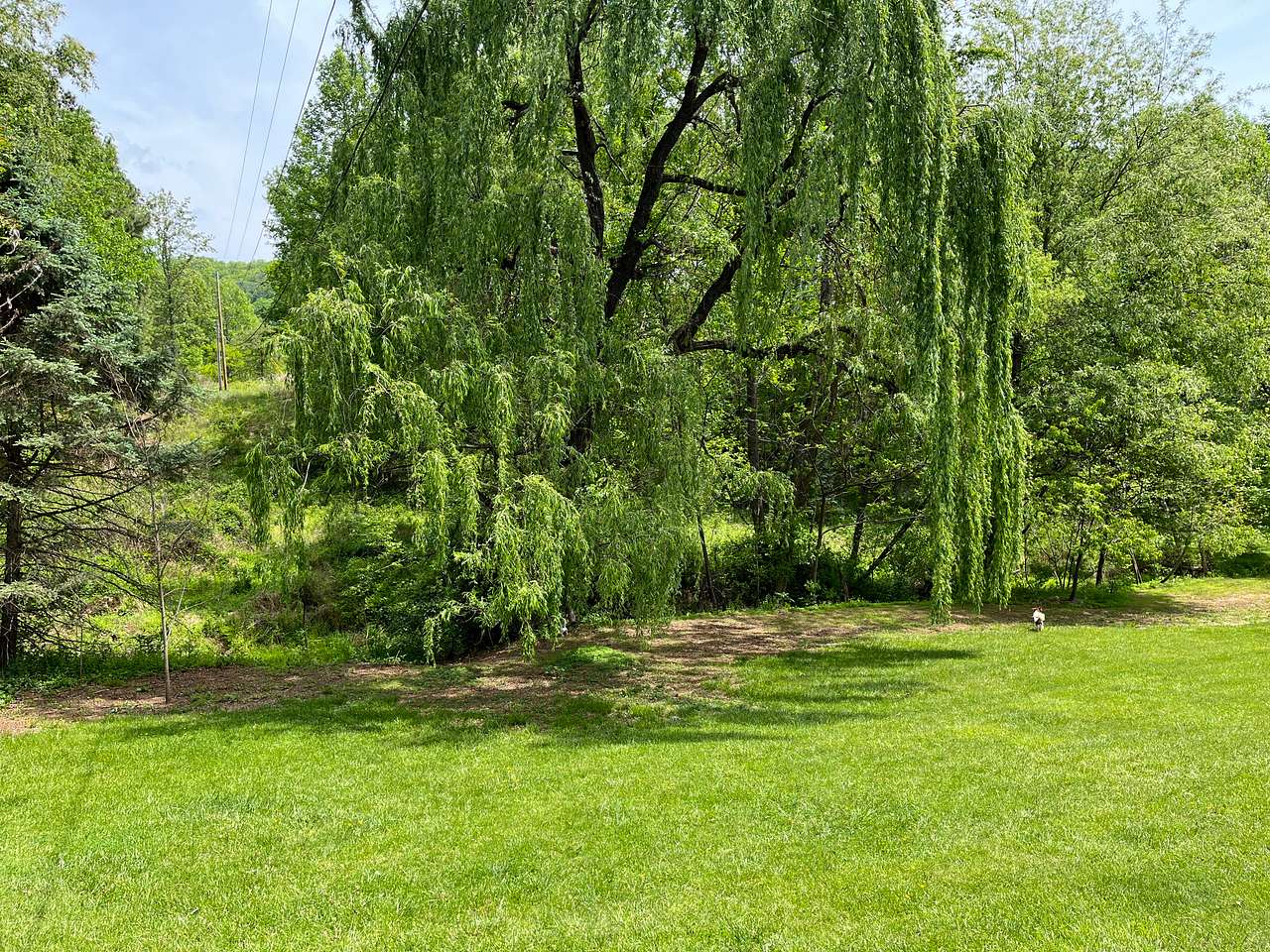 Front lawn as you enter the property.