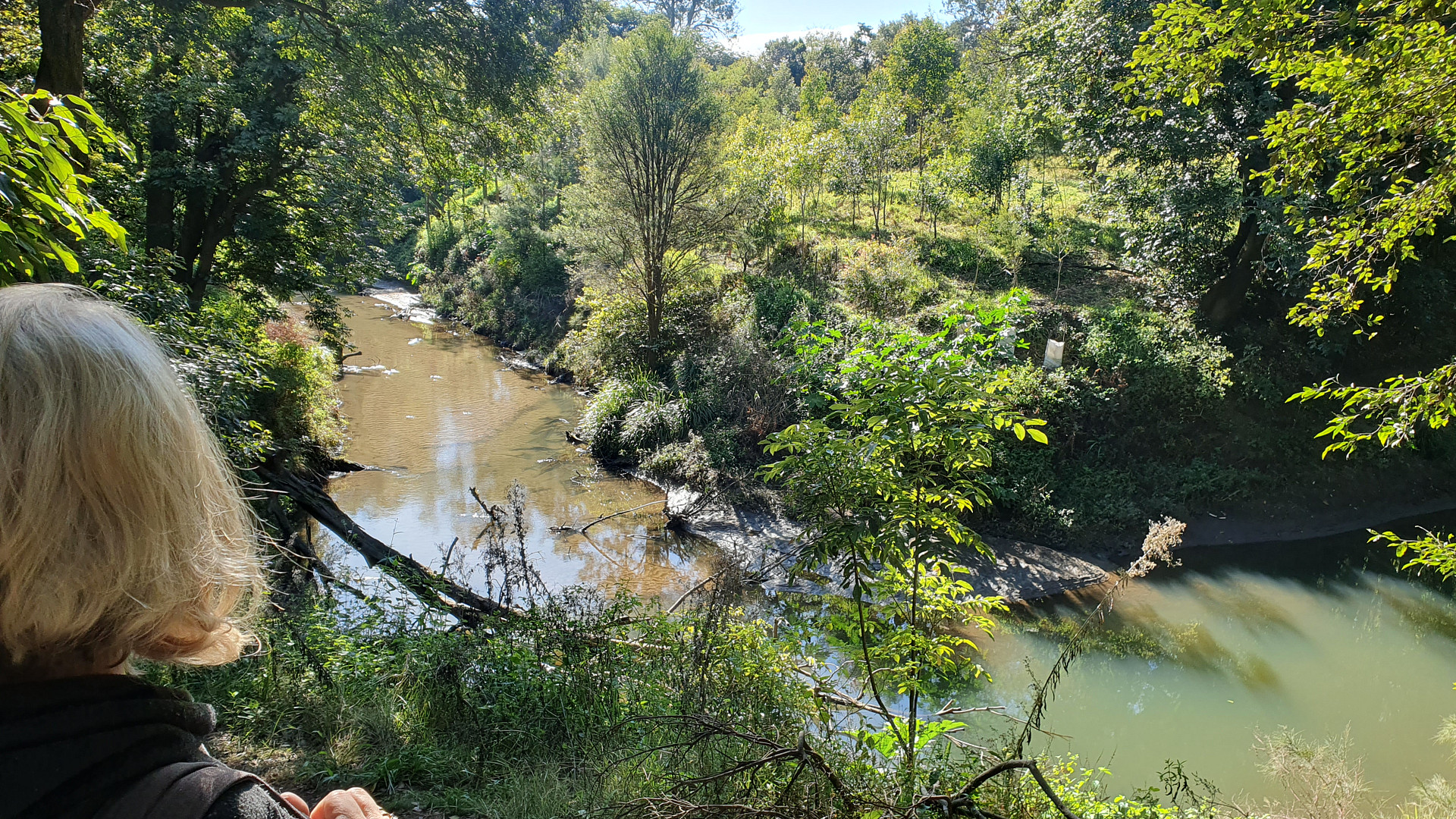 Fawcetts Creek