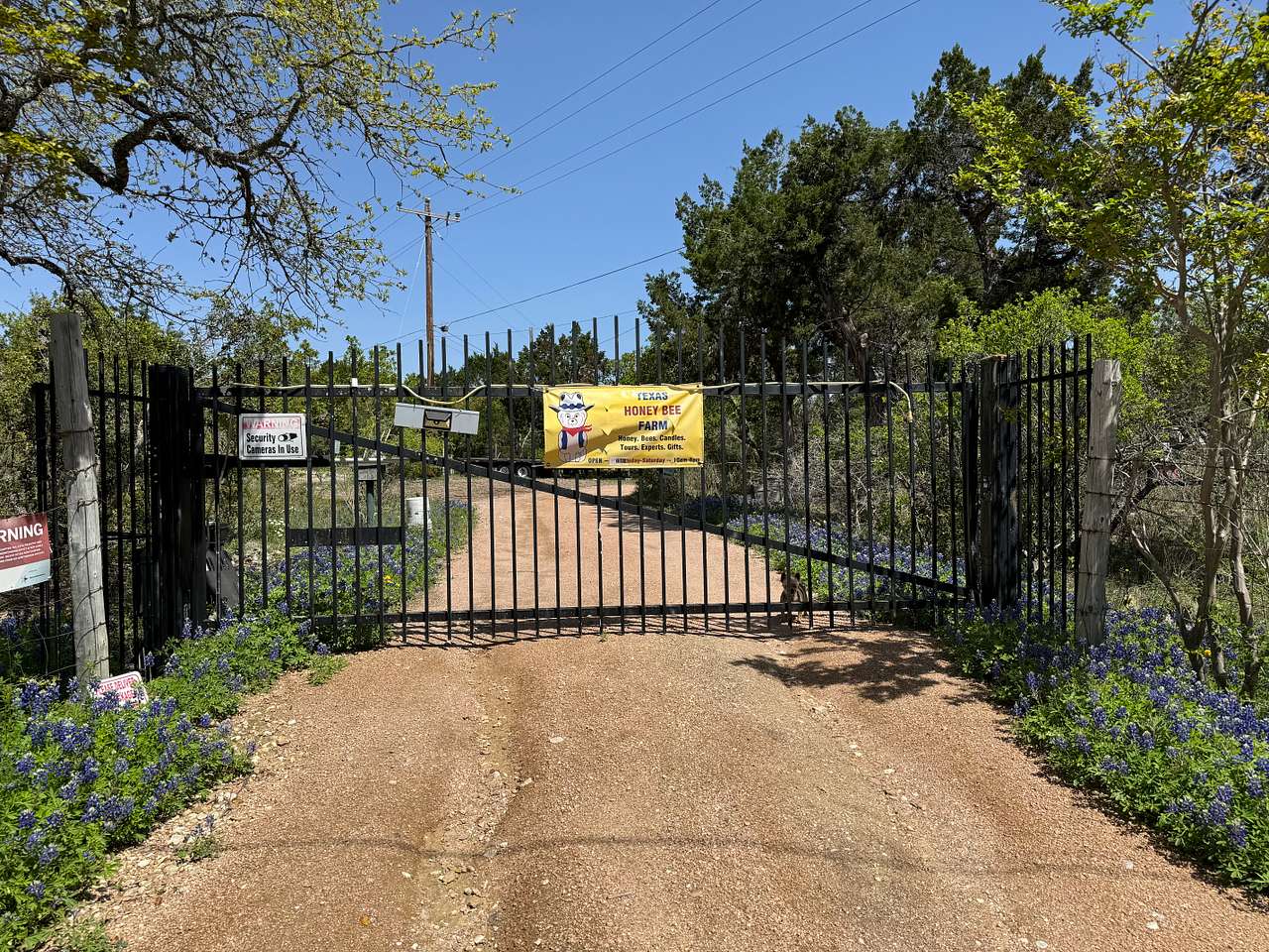 Bee Friendly Austin: Honey Bee Farm