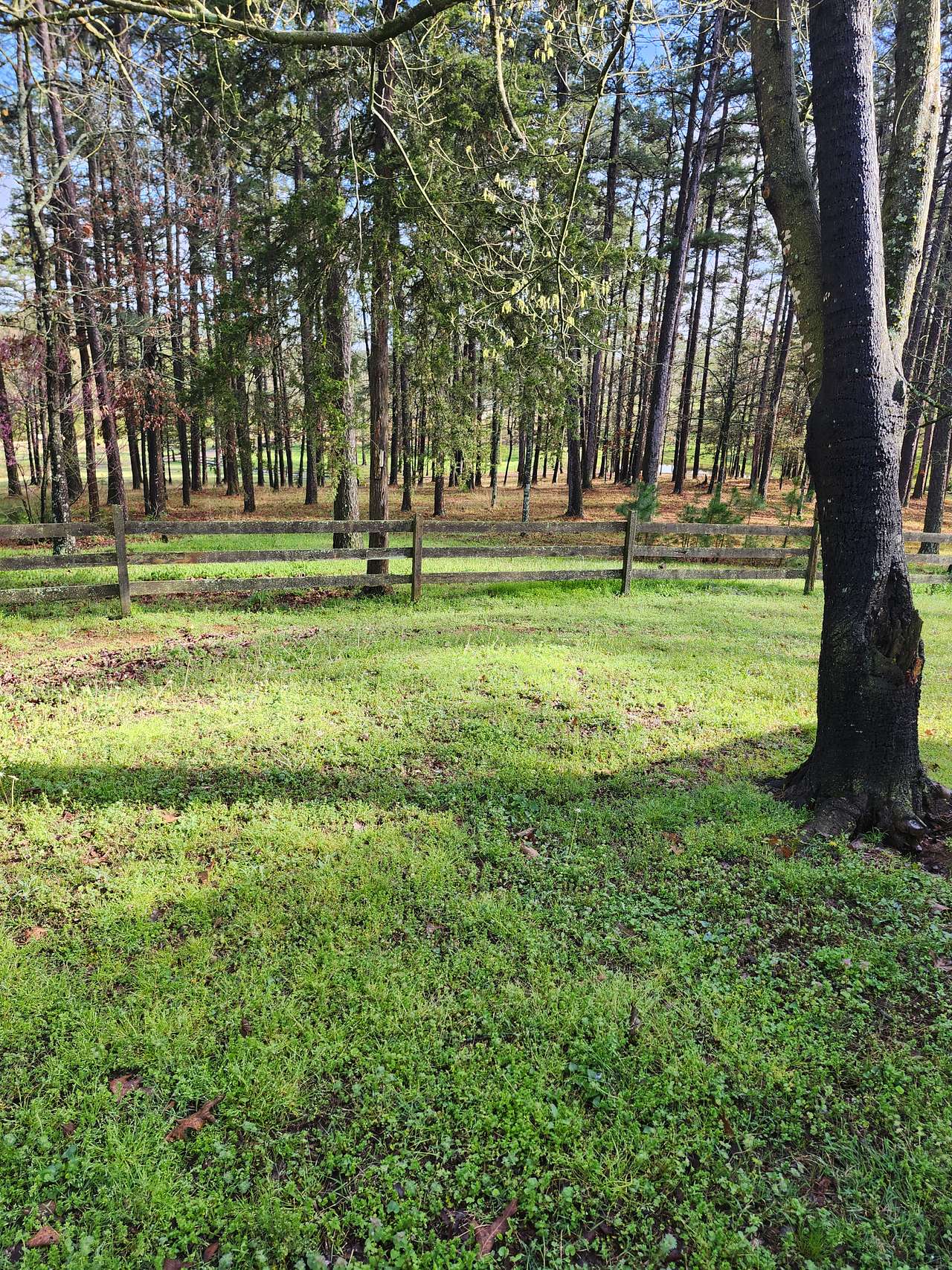 Hideaway Acres