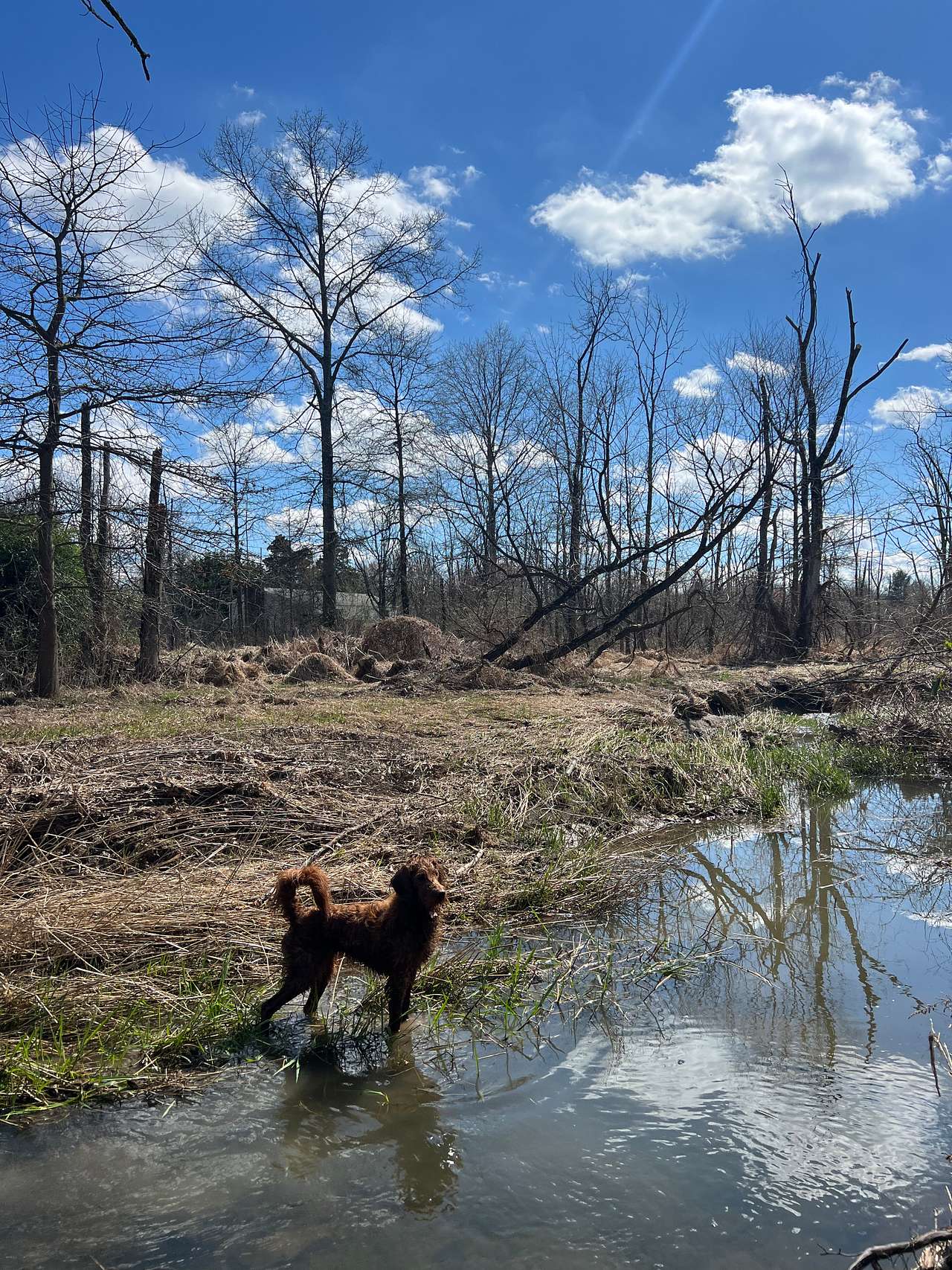 Oak Grove Acres