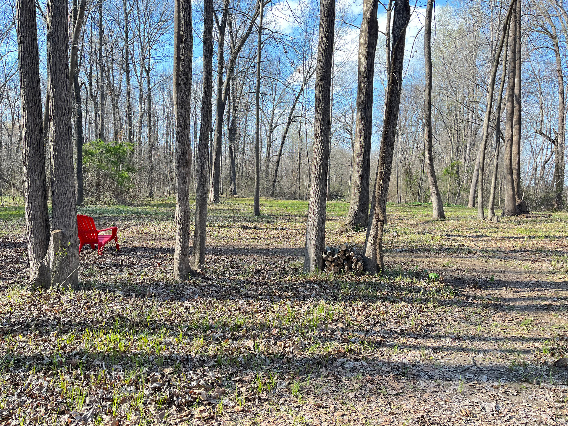 Rock Hole Meadow