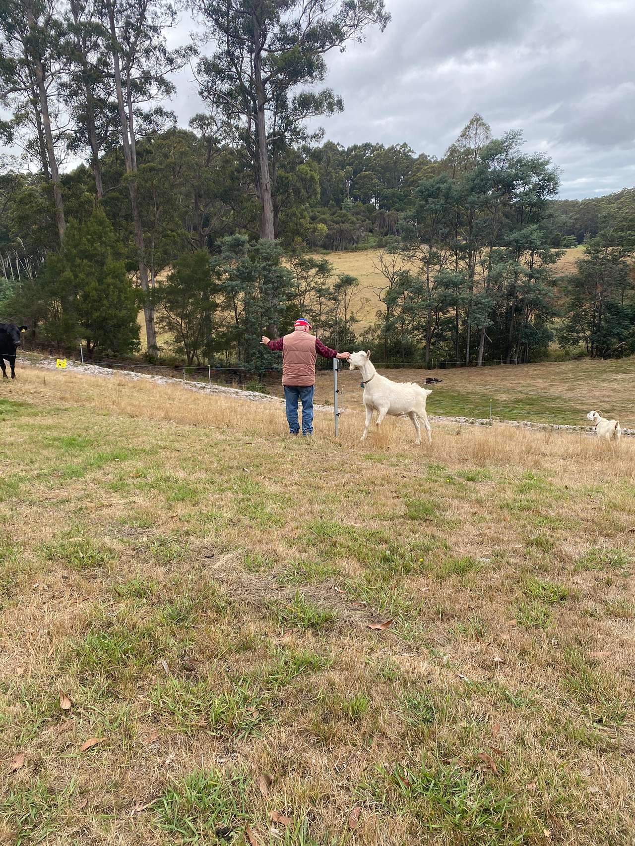 Inglis River Caravan and Camping