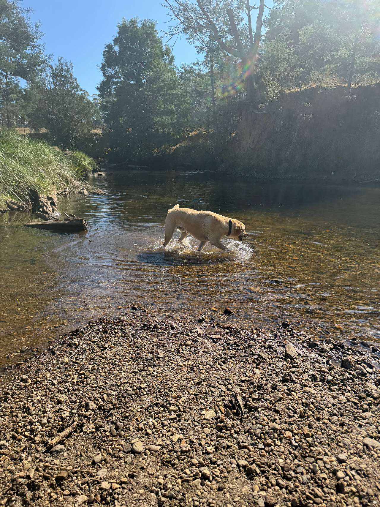 Inglis River Caravan and Camping