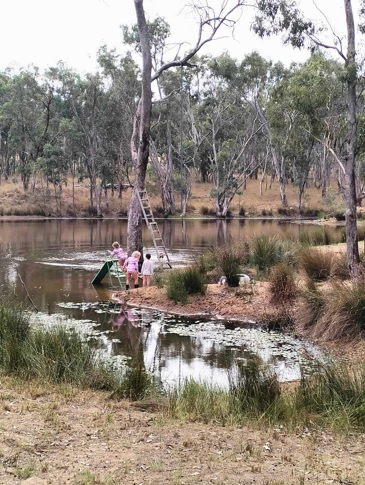Callemondah Farm/Bush Stay