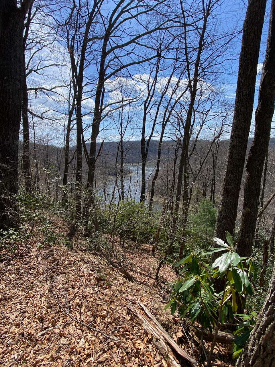 Seasonal View from Walking Trail that encircles Property