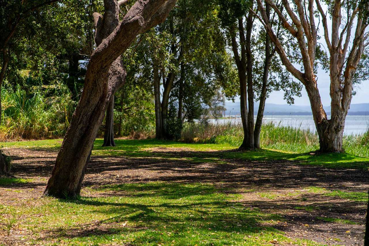 Two Shores Holiday Park