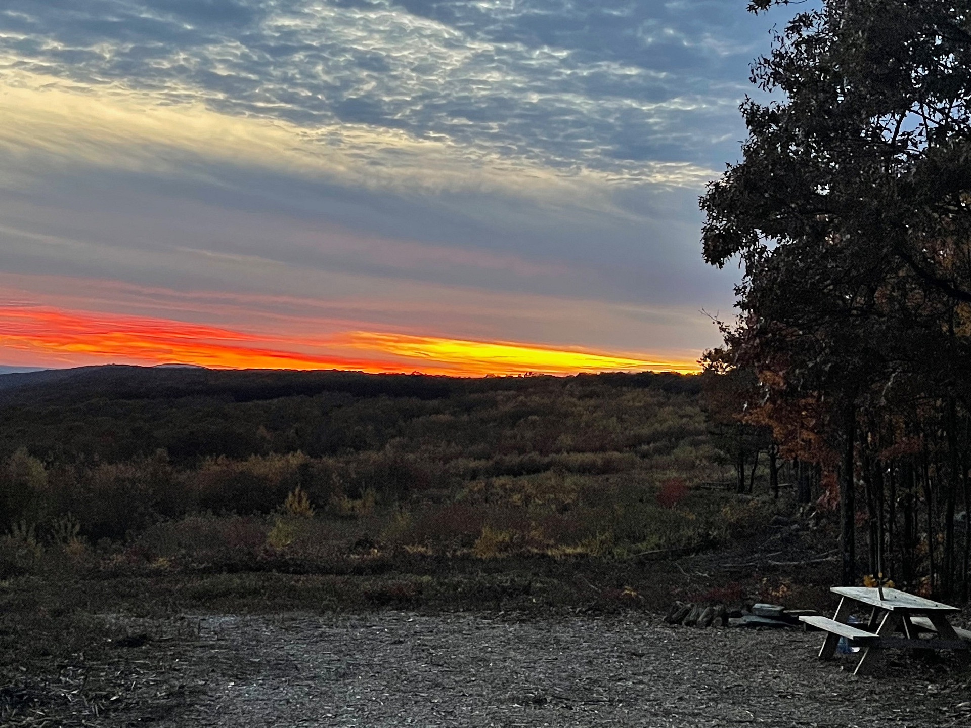 100 Mile View Camping, Jim Thorpe