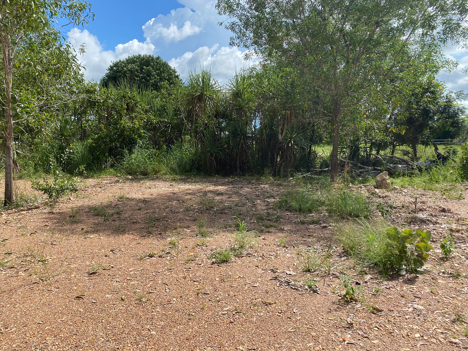 Berry Springs Park and Stay