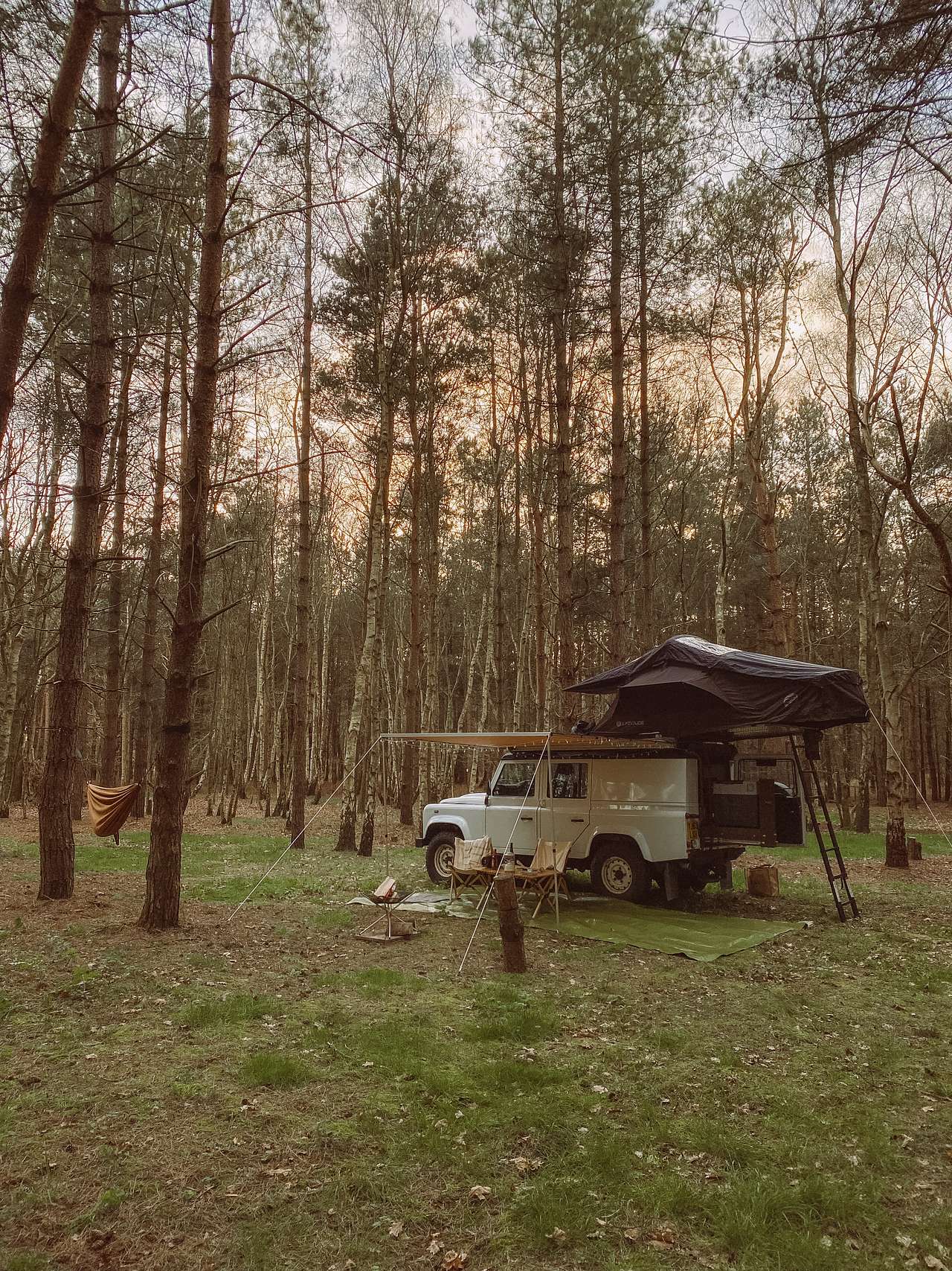 Holistic Woods Wild Campsite