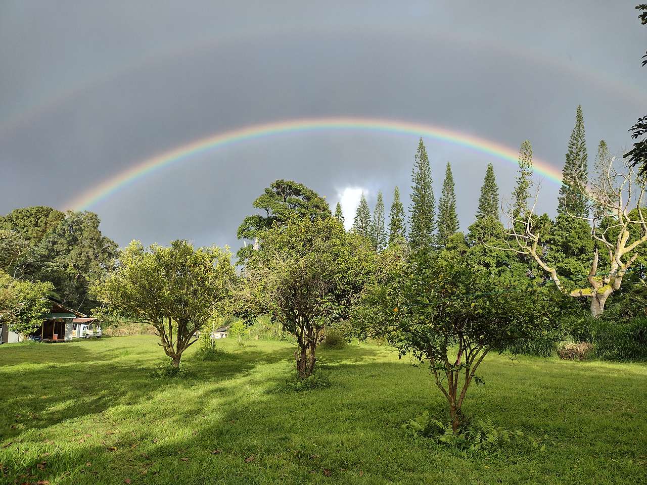 Hawaiian Off-Grid Oasis
