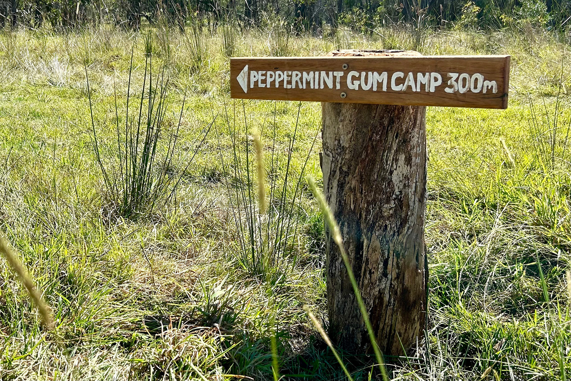 Private Bush Camp Exclusively Yours