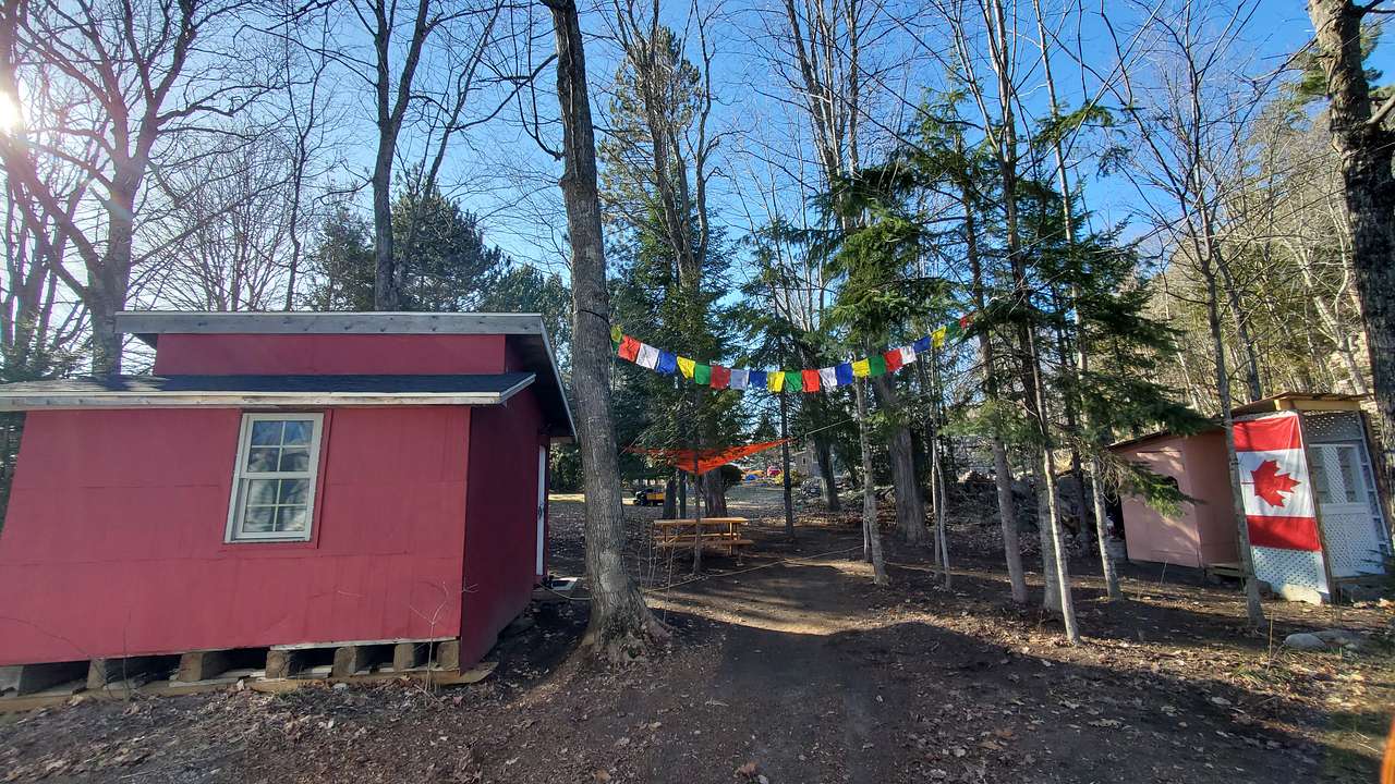 Tiny Rustic Cabin