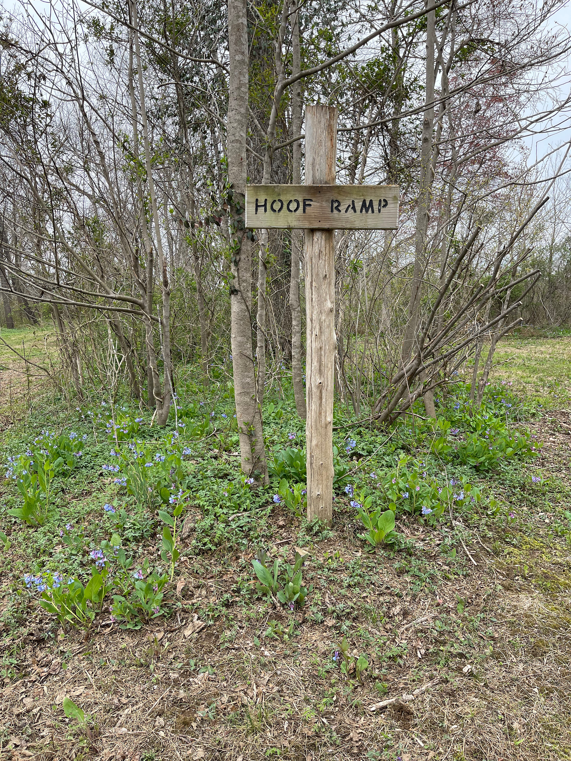 Private Camping on the Hazel River