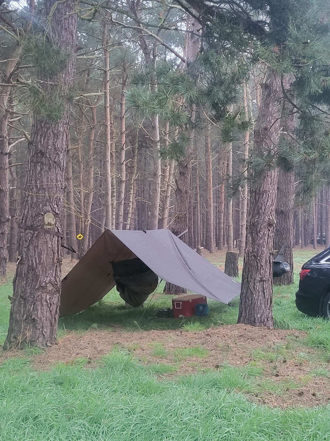 Holistic Woods Wild Campsite