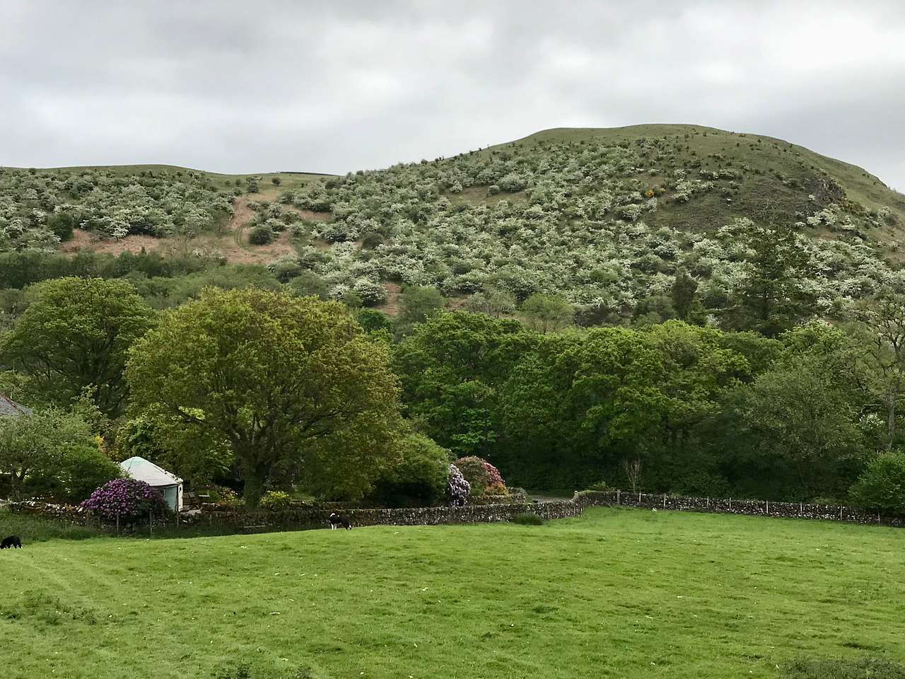Garden Yurt in a hidden glen