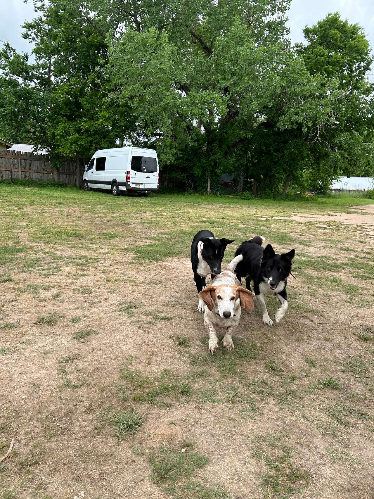 Making Friends!