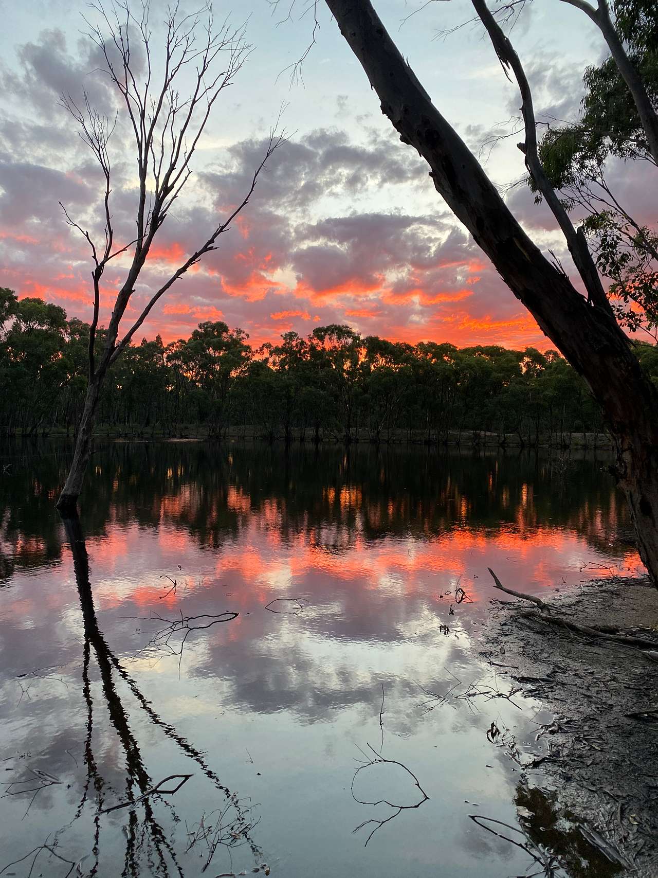 afternoon at the dam