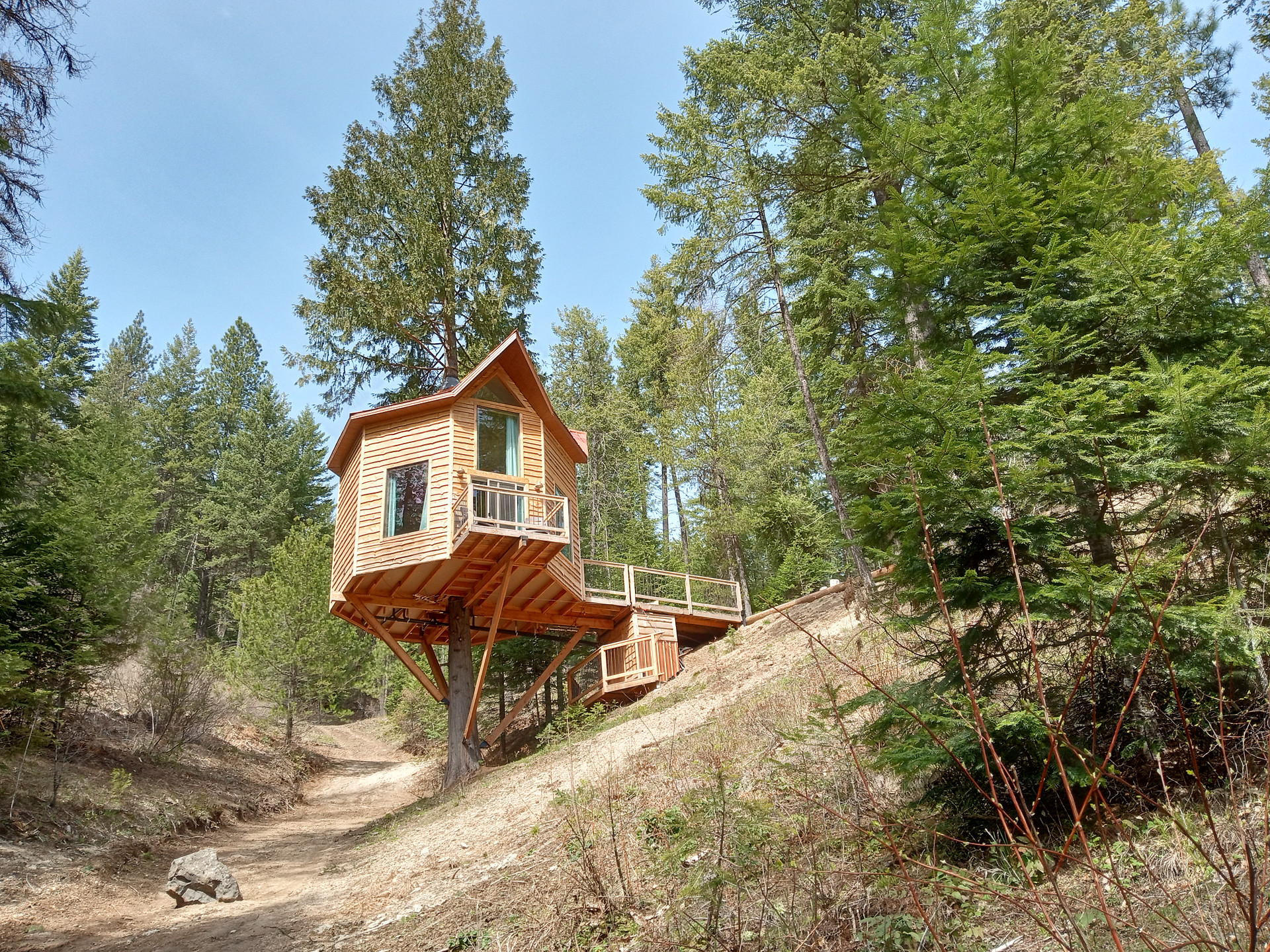 Wild Branches Treehouse