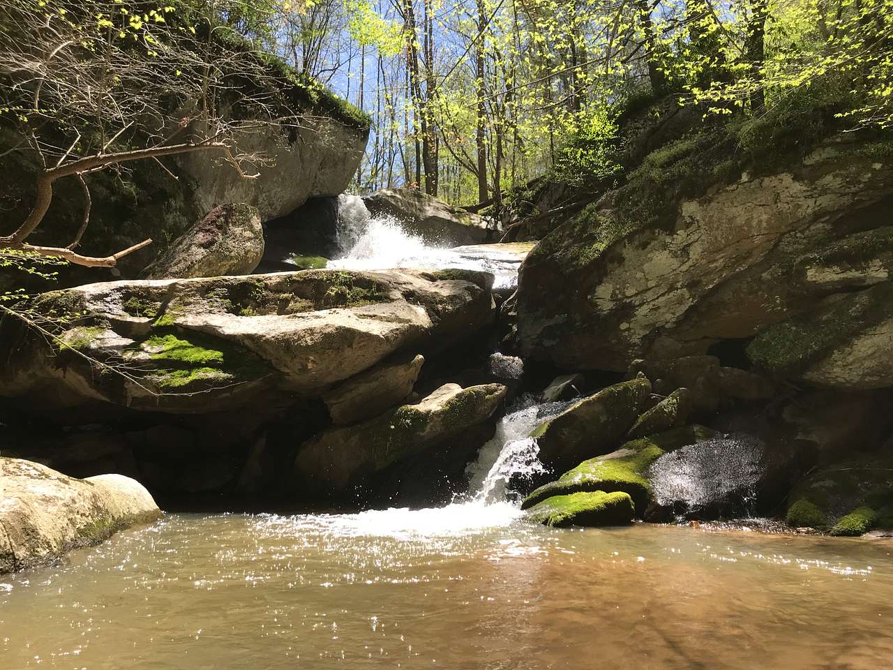 Waterfall Paradise on Paw Paw