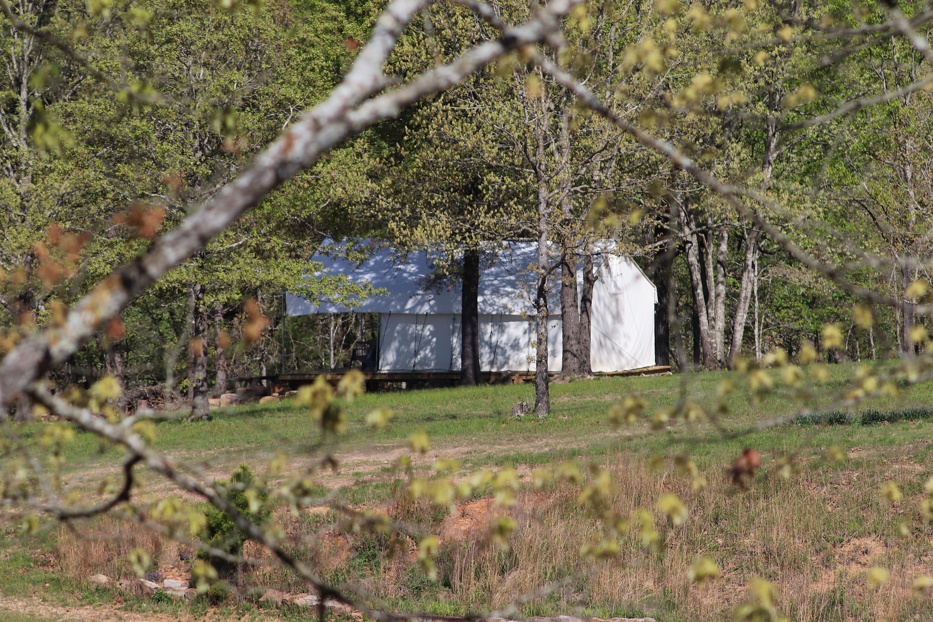 Rocky Creek Ranch Voted Best In St.