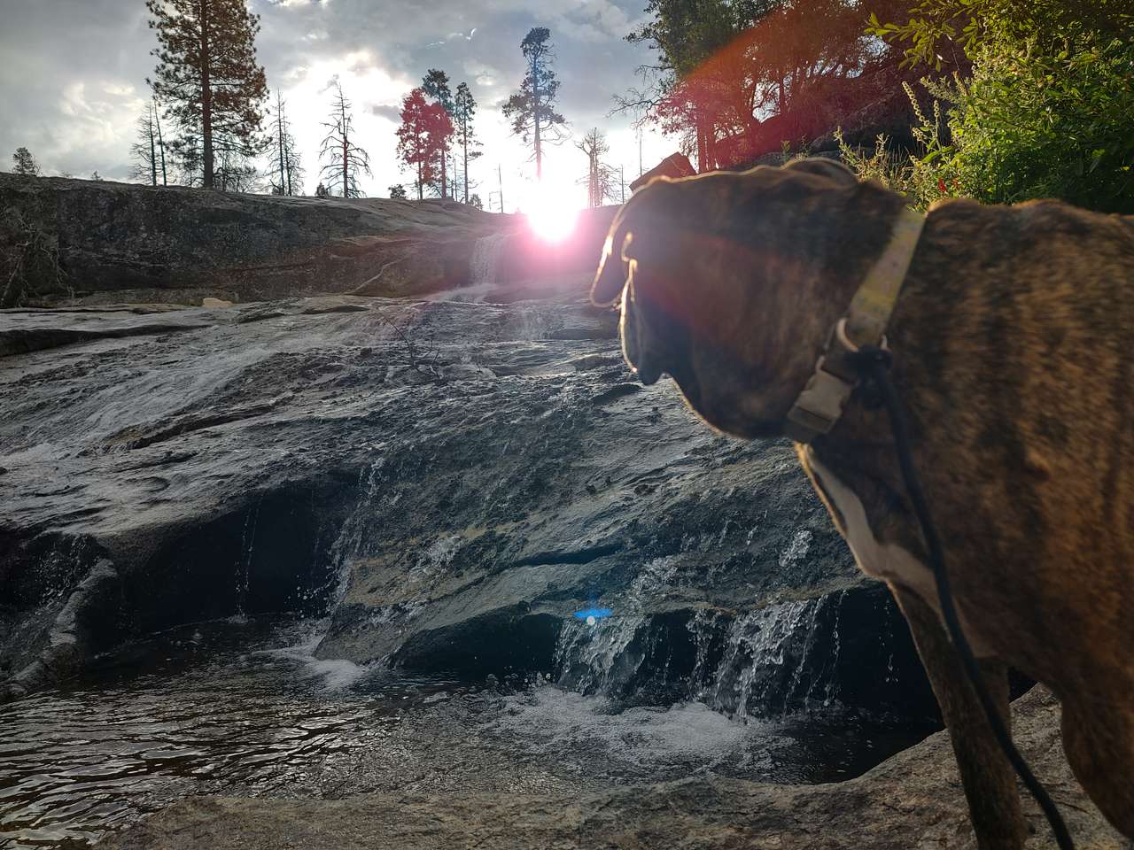 Musick Creek Falls  by Shaver Lake