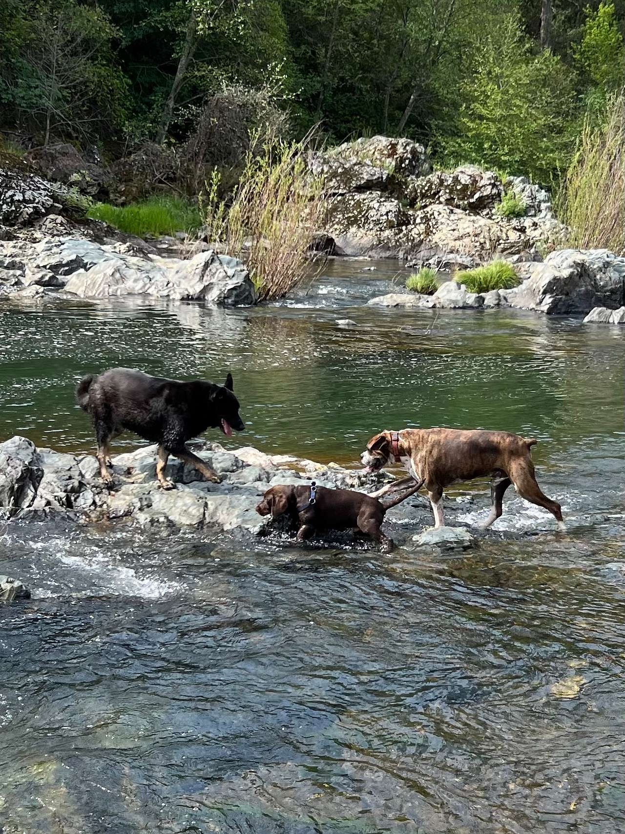Perfect Getaway with Private Creeks