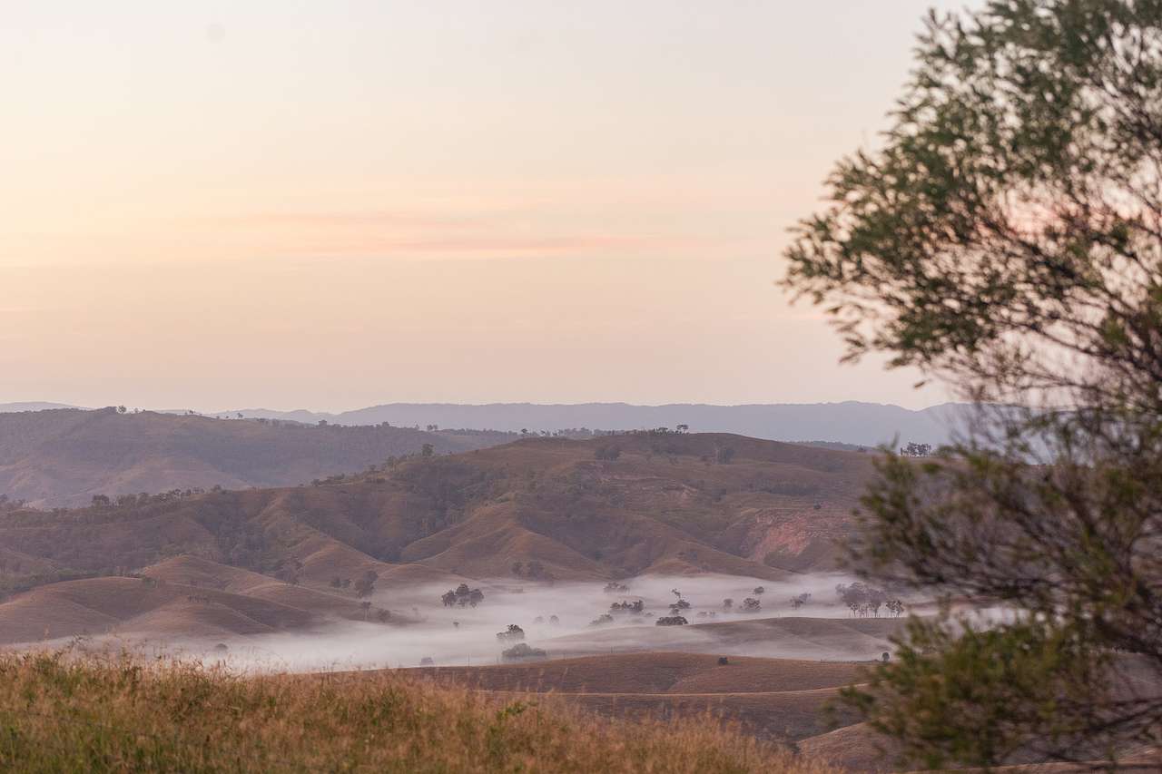 Morning fog