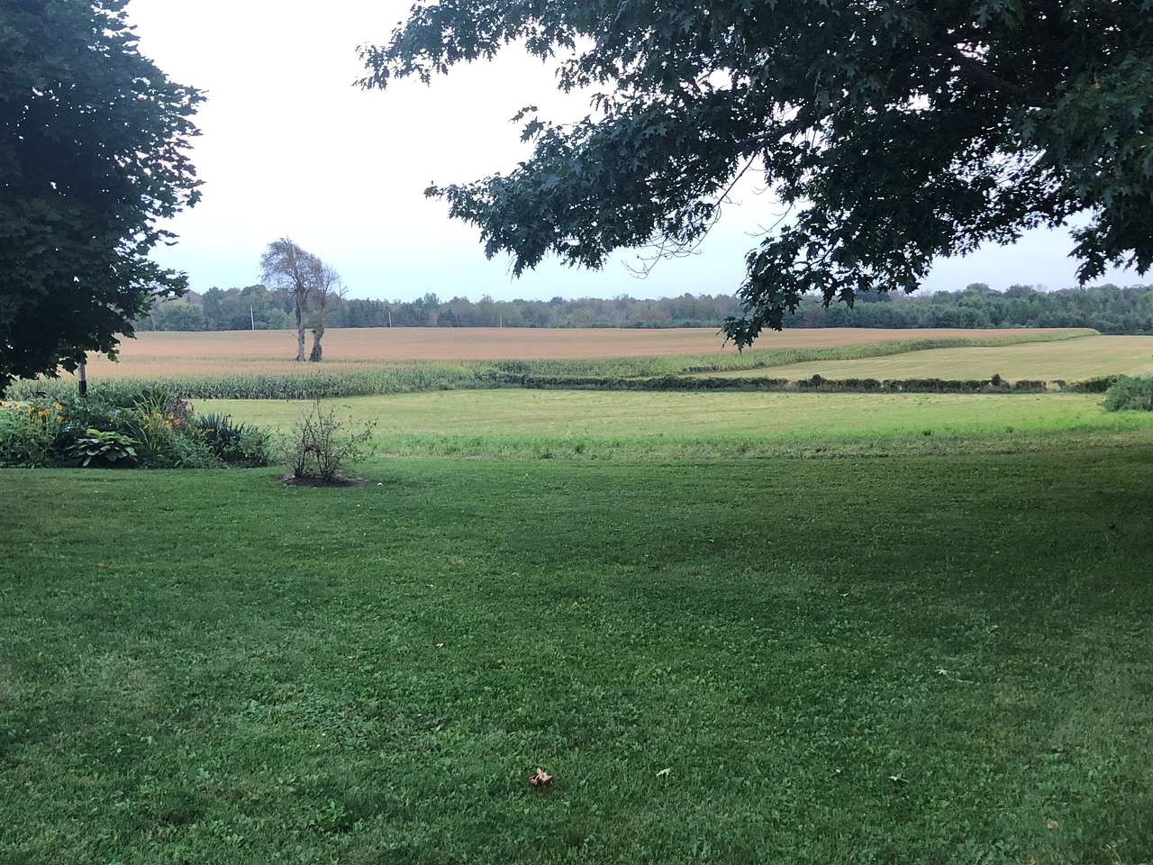 Maple Glen Farms