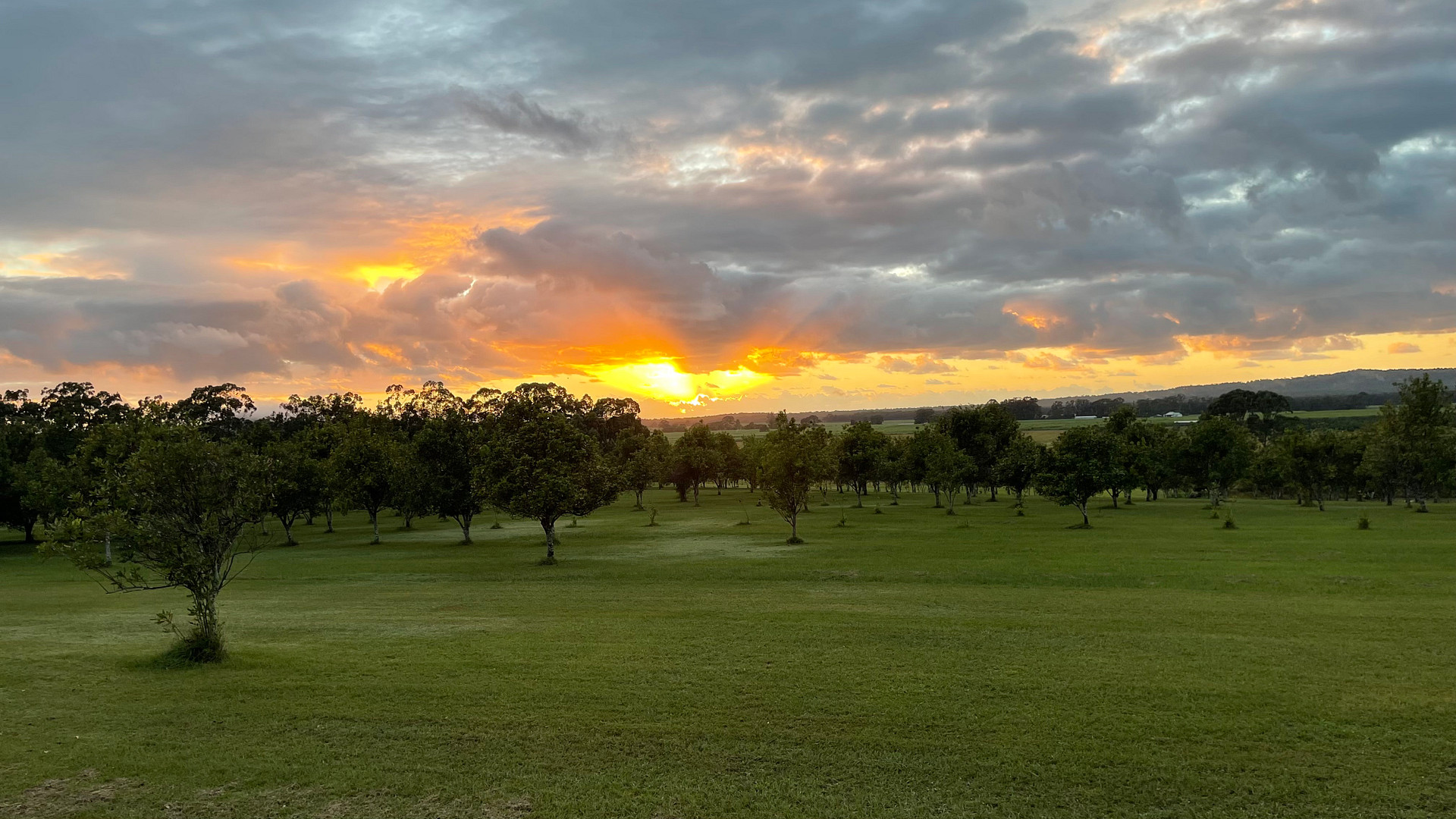 Sunrise