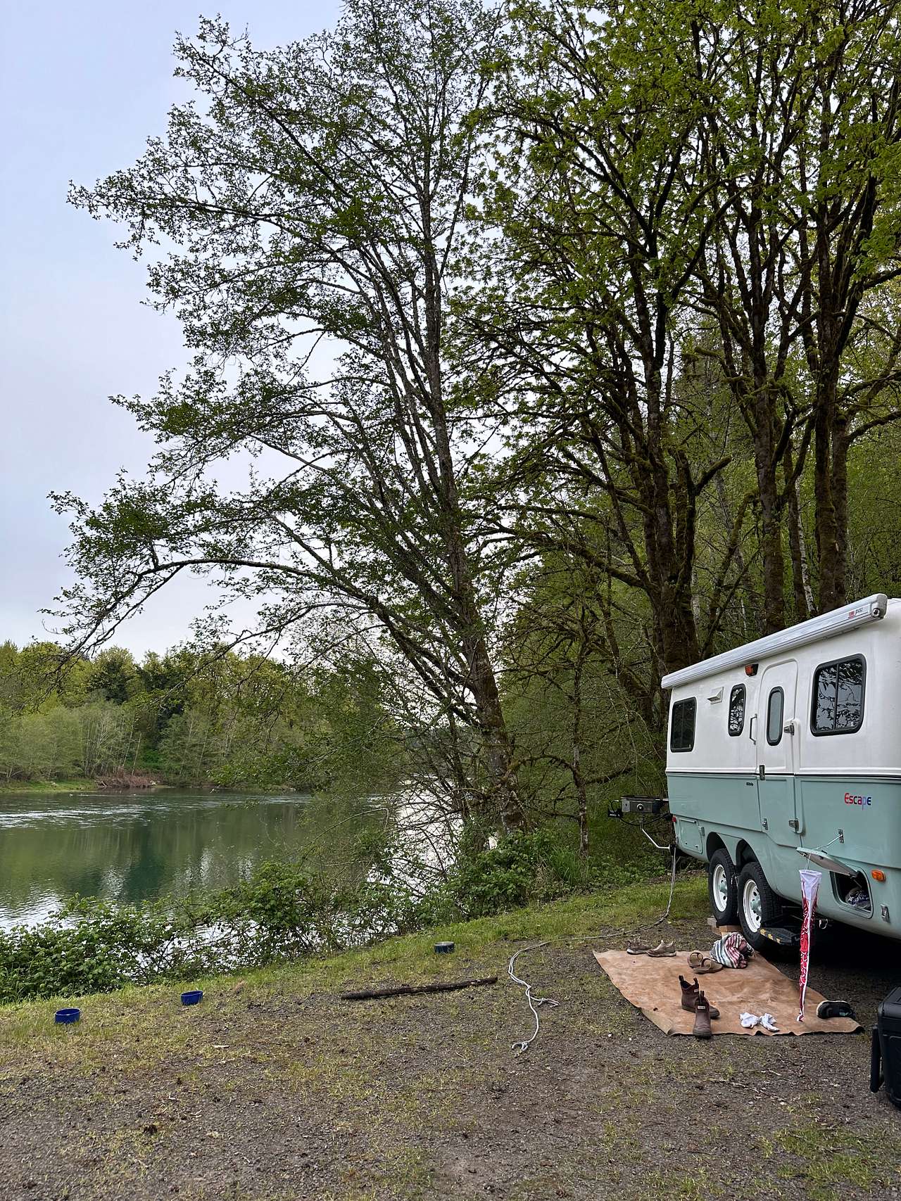 Cowlitz River Camping