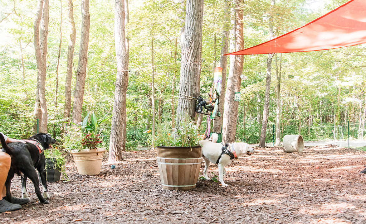 Campit Outdoor Resort