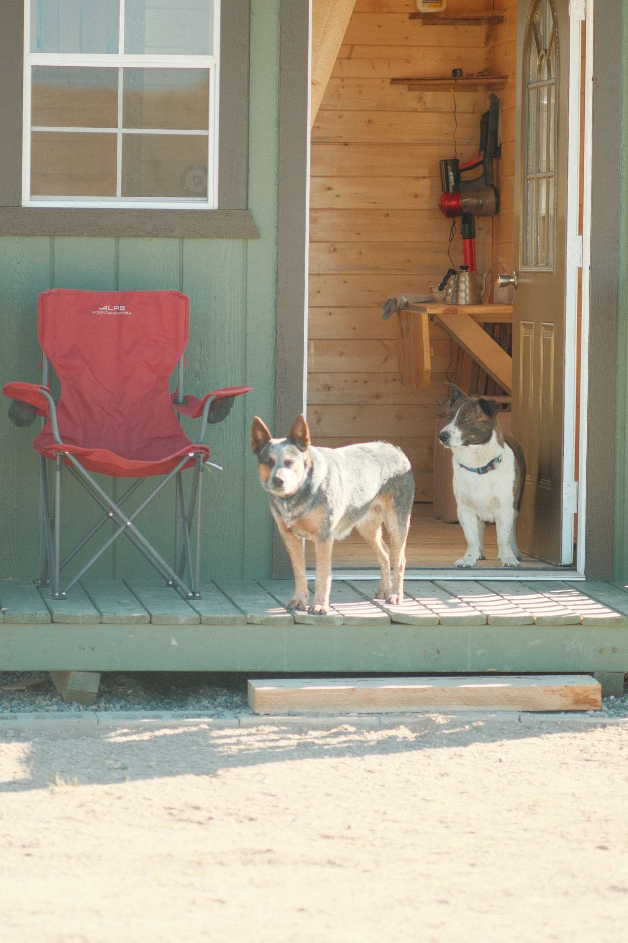 Tin Can Camp: Adventure Base