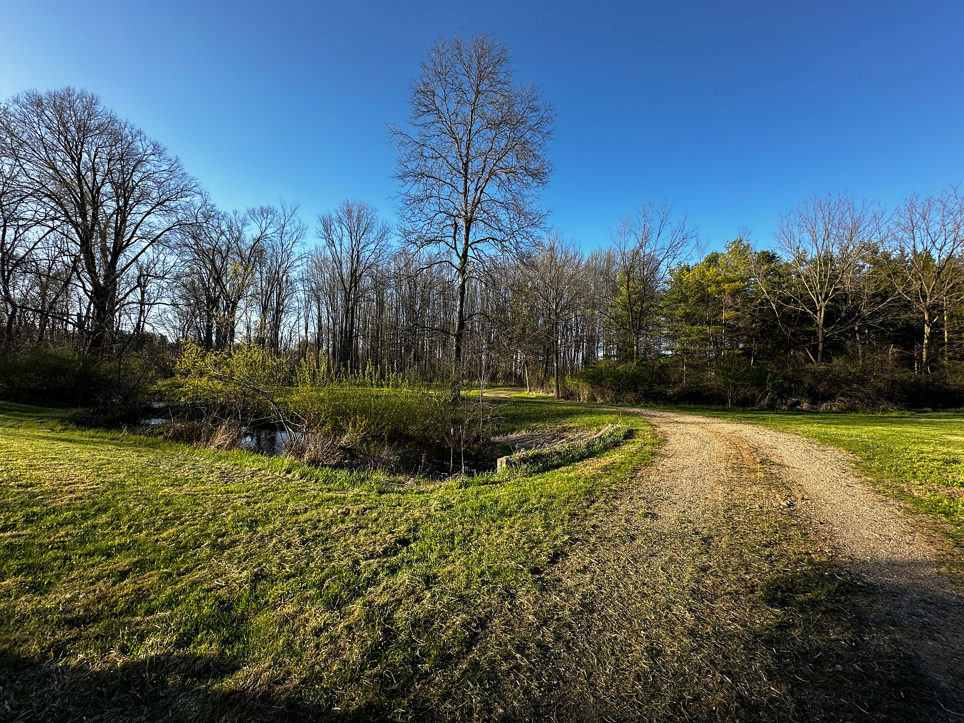 Boone Farm & Forest