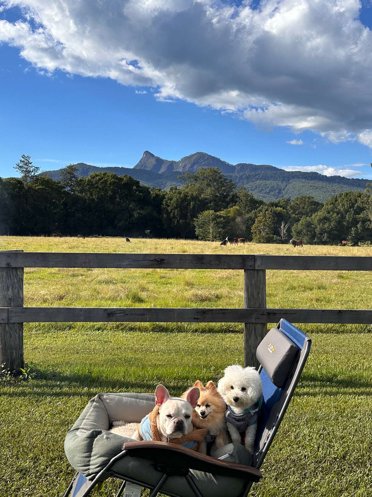 Tyalgum Reserve and Camp Ground