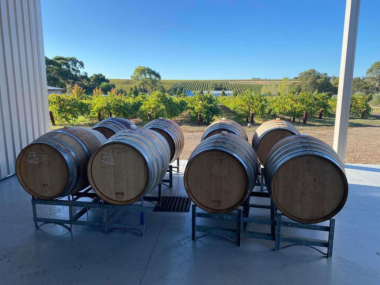 Six Strings - McLaren Vale Vineyard