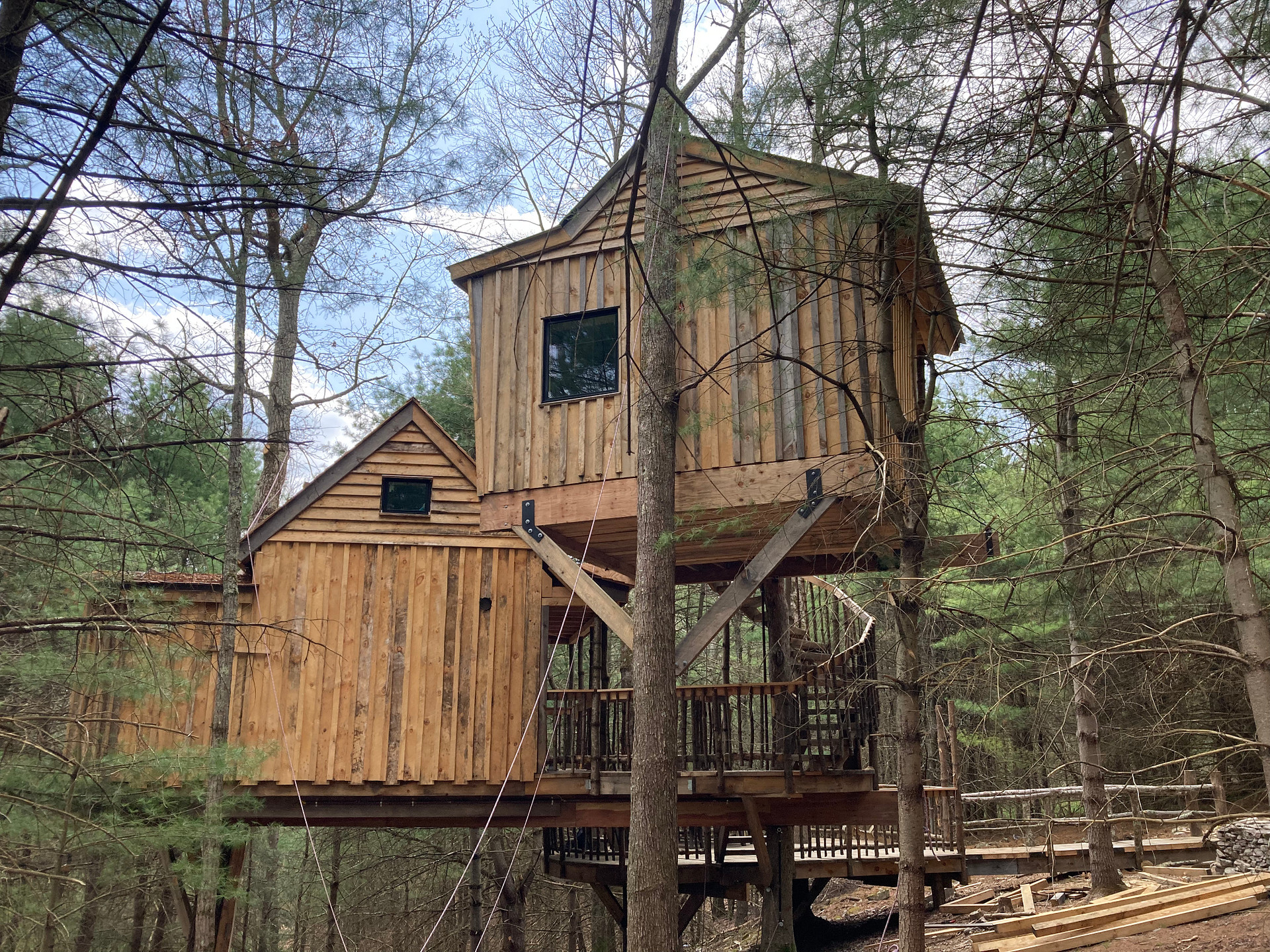 Little Birds Farm