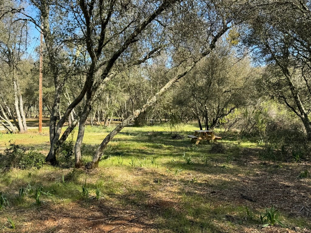Rescue Small Farm