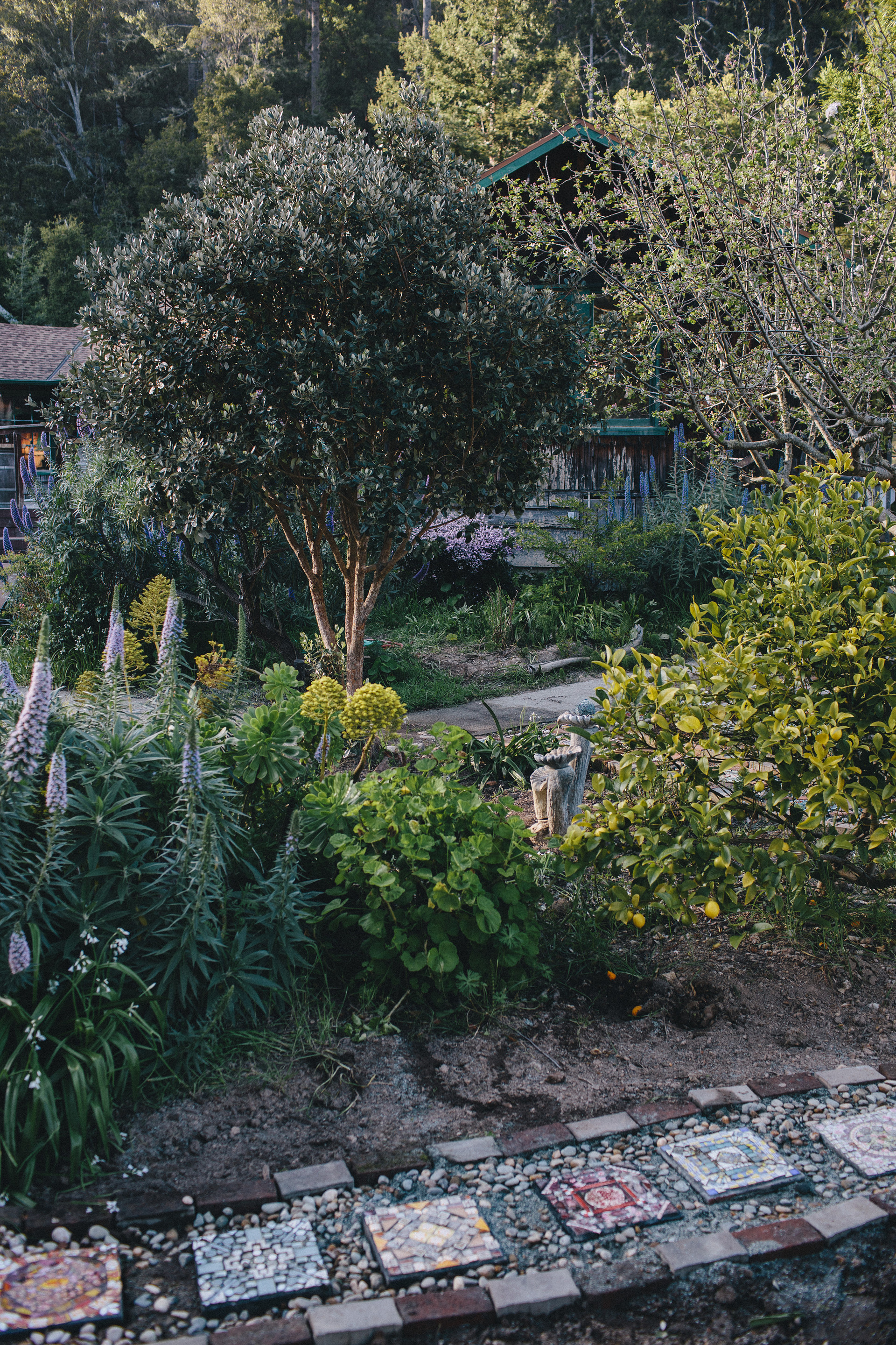 Venture Retreat Center | Pescadero