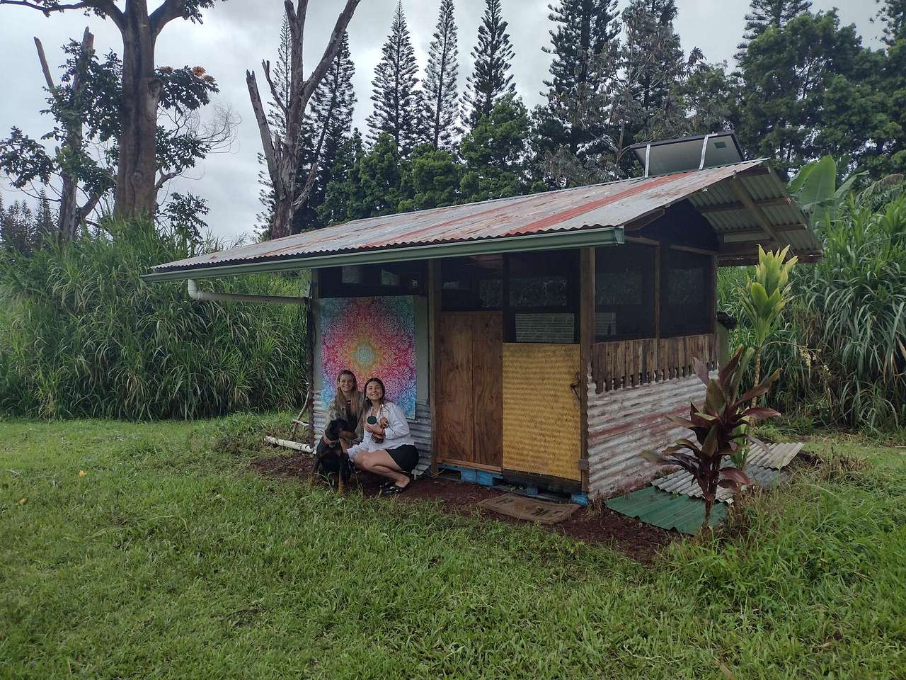 Hawaiian Off-Grid Oasis