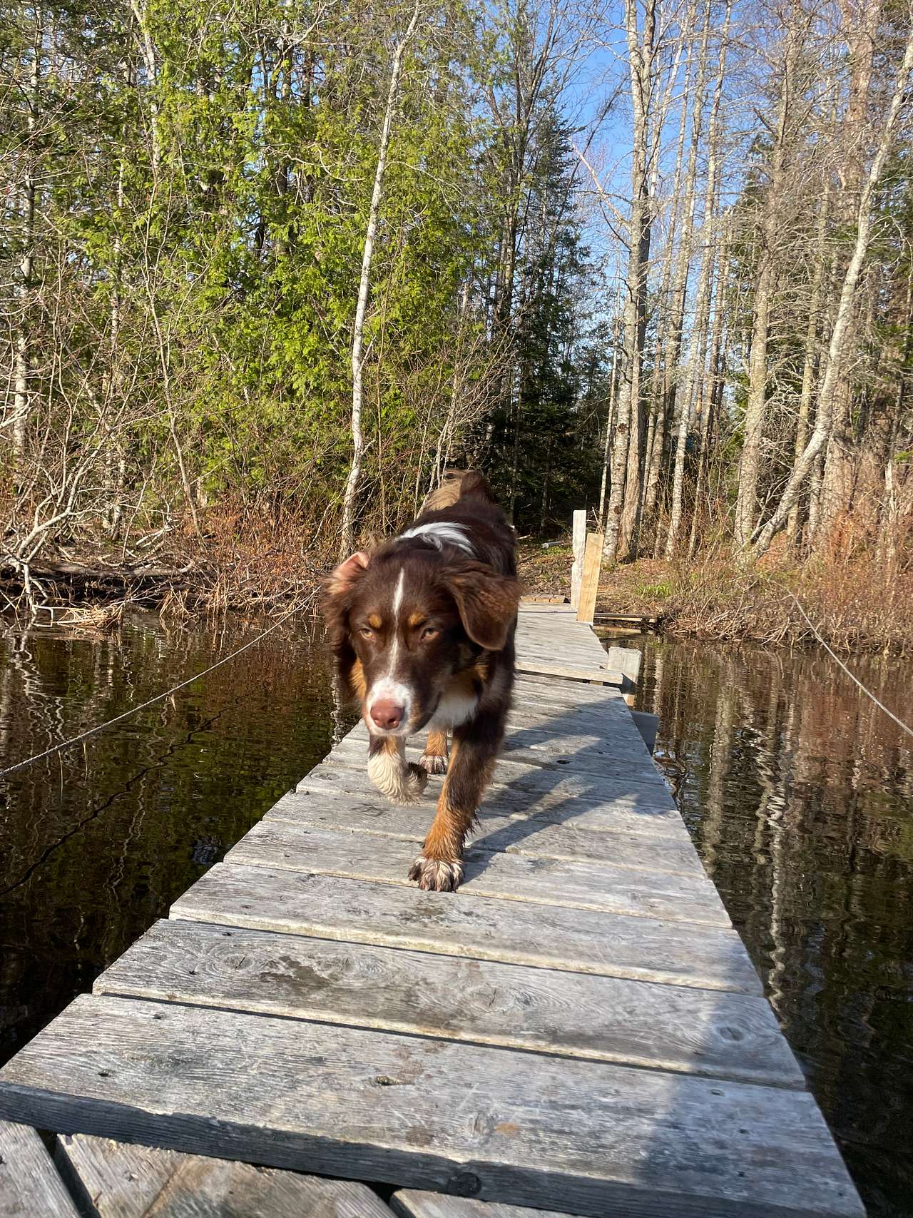River to Lake Camping and Cabin