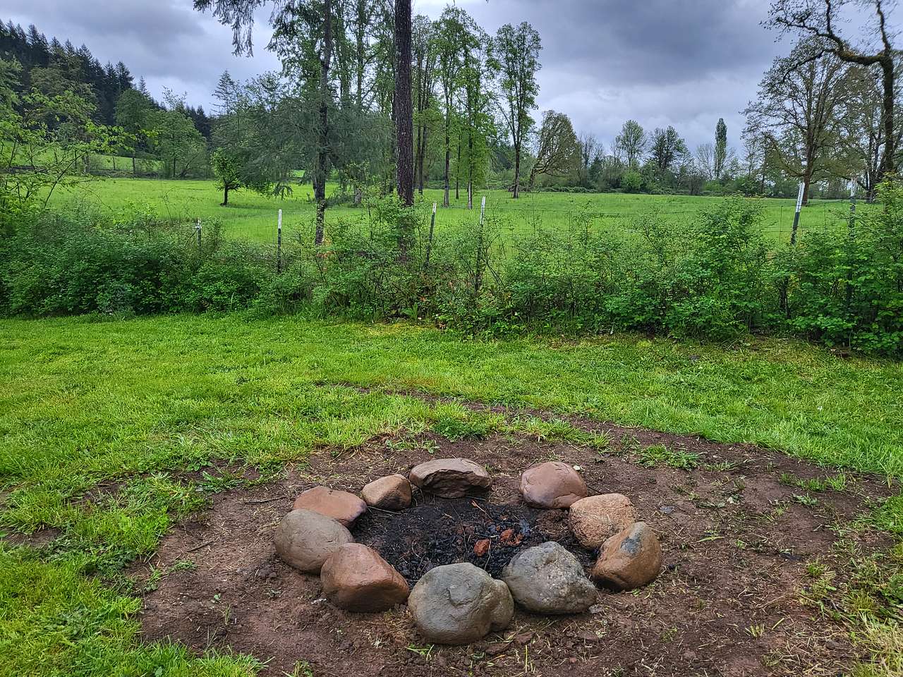 River Mountain Meadow