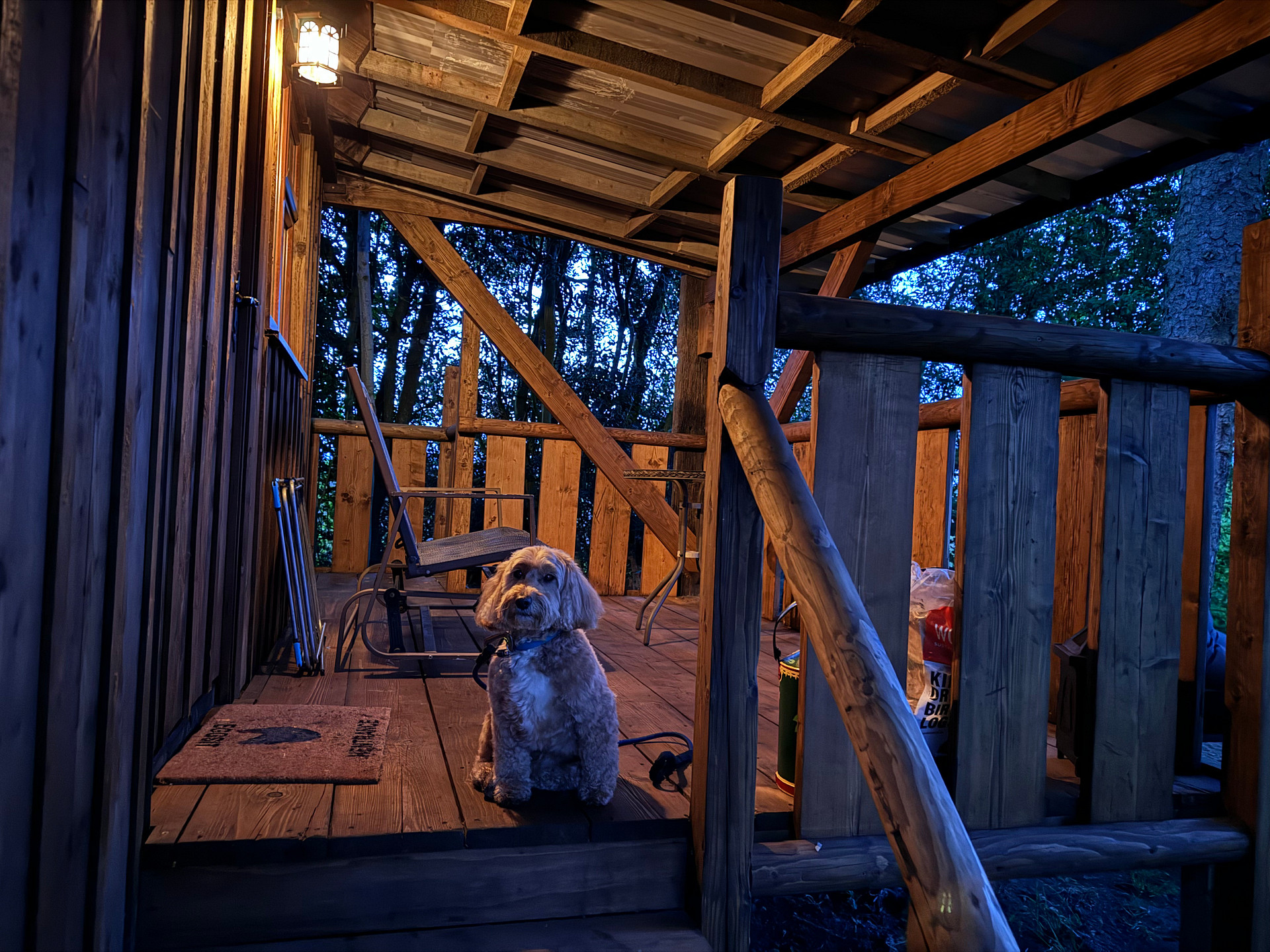 Nook Cabin